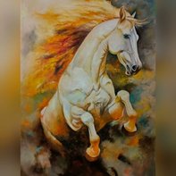 Gullraz Sohail