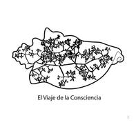 El Viaje De La Consciencia