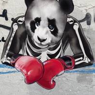 Canvaz Streetart