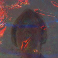 Elizabeth  Steadman