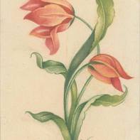 Leila Farahmand