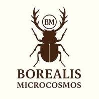 Borealis Microcosmos