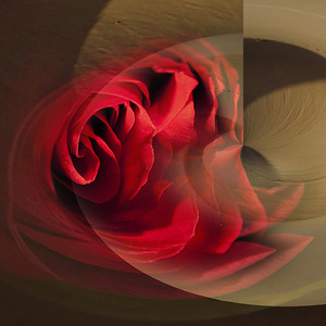 Carmen Velcic Carmen Velcic