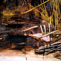 Antonio Maggio Carluccio