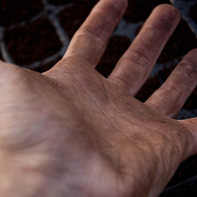 Miguel Tudela Recobenis