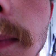 Naylor Musko