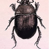 Philippe Vaz Coatelant