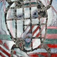 Brendon Mcnaughton