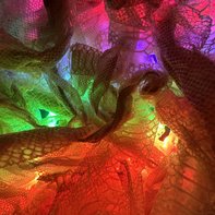 Michael Craig Carrier