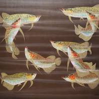 Andis Gallery