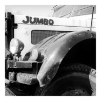 Jumbo Jumbo
