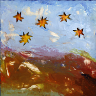 Robin Vanhoozer