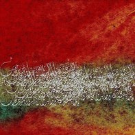 Salah Shaheen