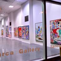 Iarca Gallery