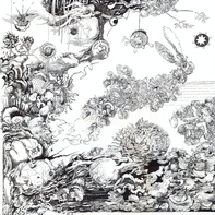 Andrea Gogl