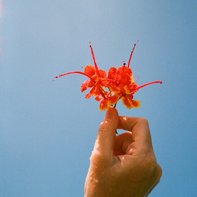 Natalia Shlyakhovaya