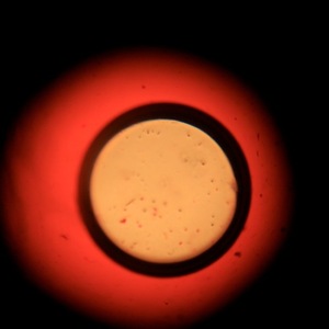 Anna Day | Saatchi Art