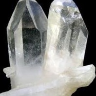 Brenda Morrison-Webb