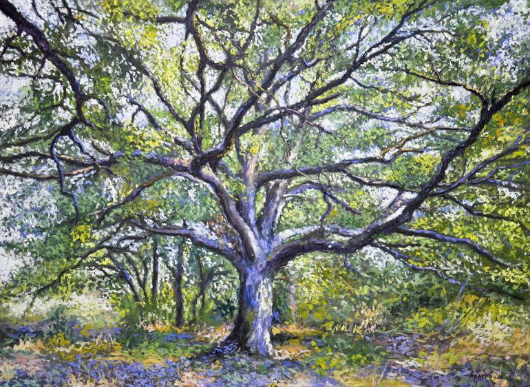 Great oak tree 