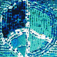 Troy Vi
