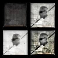 Paulo Abrantes