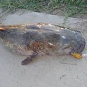 Margaret Stone's Profile