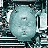 Sébastien Laroche-Hôte