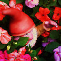 HaiiJeuss Photography