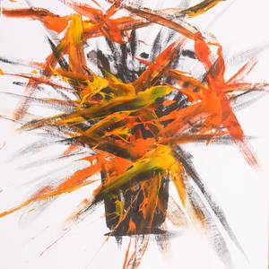 kerkache hamid's Profile